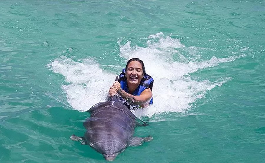Una viajera avanza por el agua sujeta a la aleta de un delfín