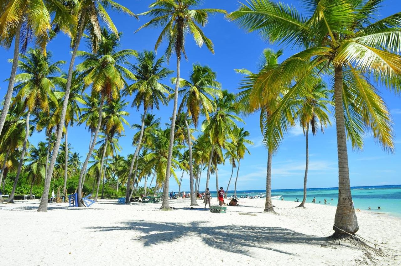 Playa de arena blanca con palmeras altas y el mar turquesa al fondo