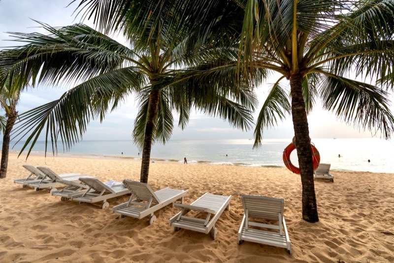 Sun loungers under palm trees on a quiet beach