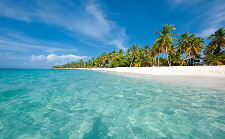 A clear-water shoreline with the beach and palms beyond